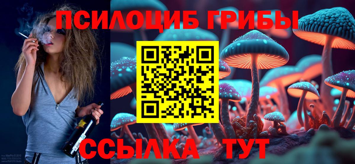 Янаул  Псилоцибиновые грибы мицелий  Вход с VPN 