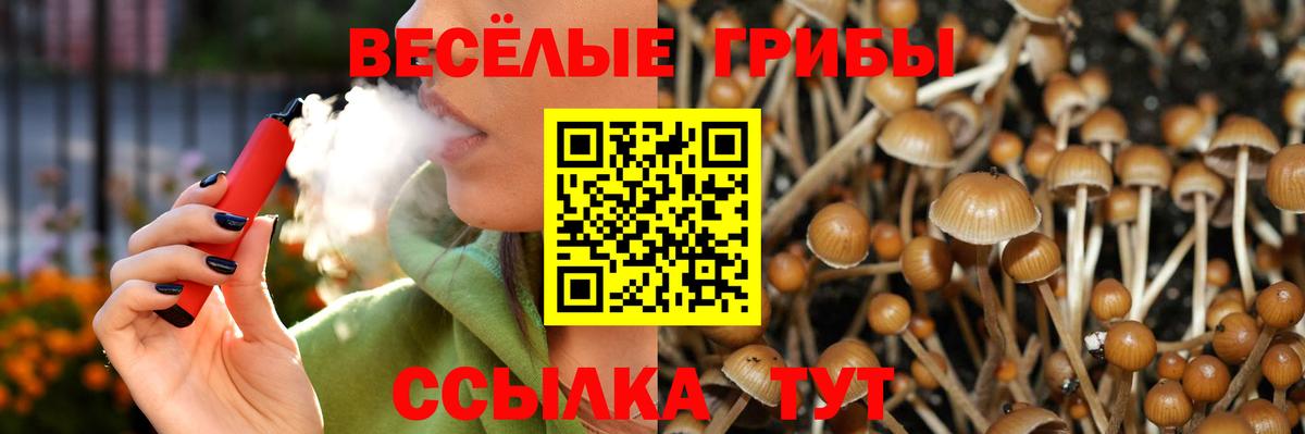Галлюциногенные грибы мицелий Янаул